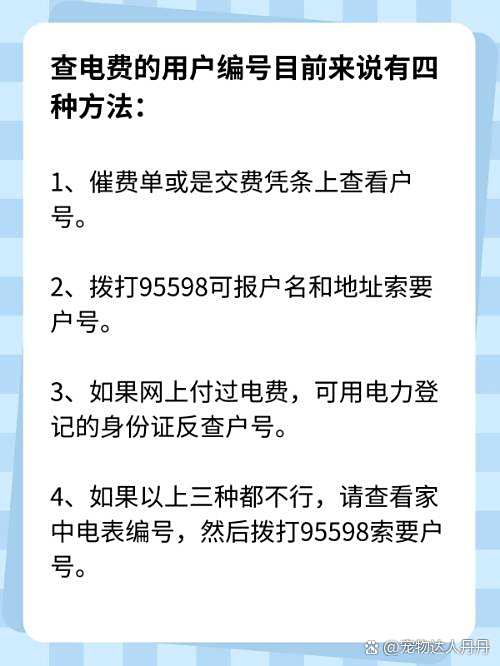 电费可以查明细吗网